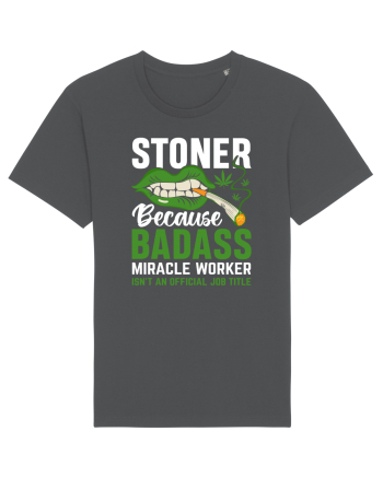 STONER BECAUSE BADASS MIRACLE WORKER ISN'T AN OFFICIAL JOB TITLE Anthracite