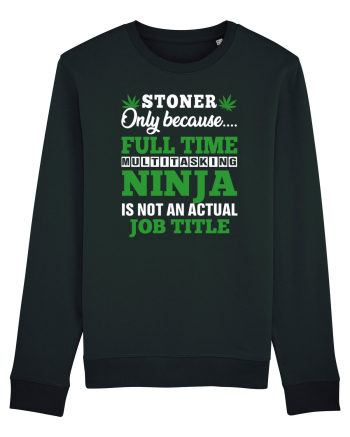 Stoner only because full time multitasking ninja is not an actual job title Black