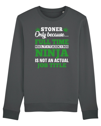 Stoner only because full time multitasking ninja is not an actual job title Anthracite