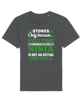 Stoner only because full time multitasking ninja is not an actual job title Anthracite