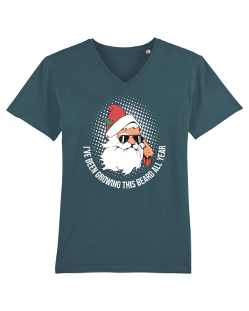 amuzant de Craciun - I've been growing this beard all year  Stargazer