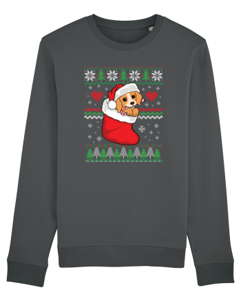 de Craciun cu caini - Beagle pup Anthracite