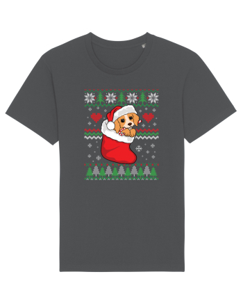 de Craciun cu caini - Beagle pup Anthracite