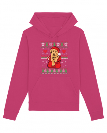 de Craciun cu caini - Golden retriever Raspberry