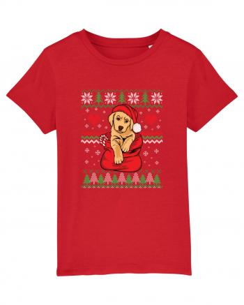 de Craciun cu caini - Golden retriever Red