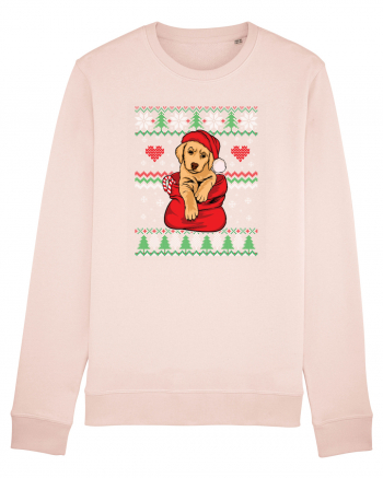 de Craciun cu caini - Golden retriever Candy Pink