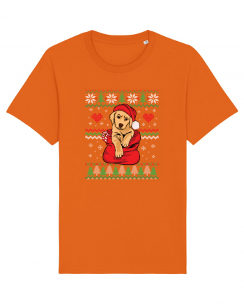 de Craciun cu caini - Golden retriever Bright Orange