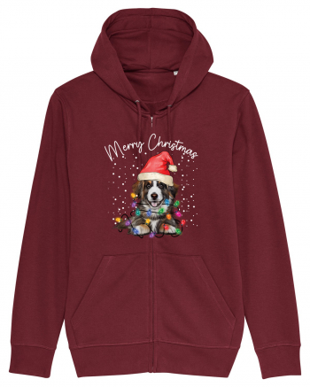 de Craciun cu luminite - Border Collie Burgundy