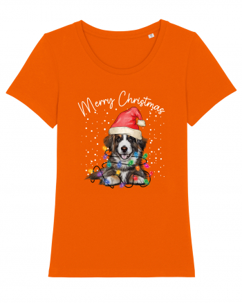 de Craciun cu luminite - Border Collie Bright Orange