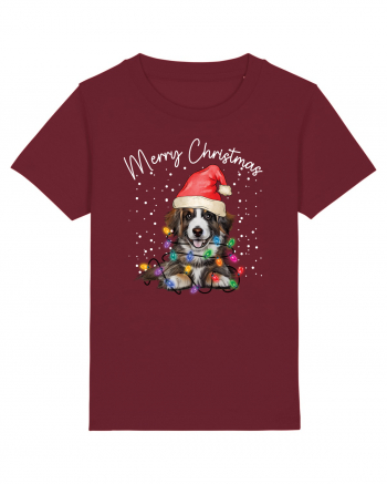 de Craciun cu luminite - Border Collie Burgundy