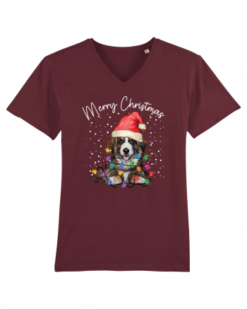 de Craciun cu luminite - Border Collie Burgundy