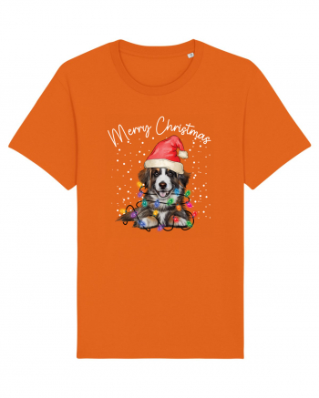 de Craciun cu luminite - Border Collie Bright Orange