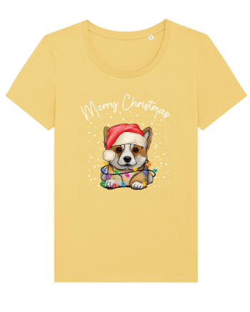 de Craciun cu luminite - Corgi Jojoba