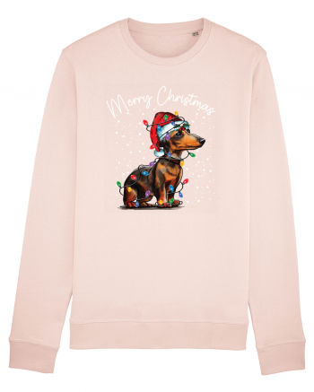 de Craciun cu luminite - Dachshund Candy Pink