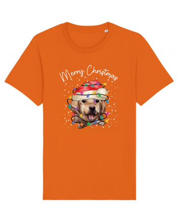 de Craciun cu luminite - Golden Retriever Bright Orange