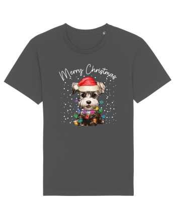 de Craciun cu luminite - Miniature Schnauzer Anthracite