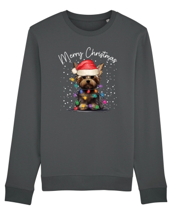 de Craciun cu luminite - Yorkshire Terrier Anthracite