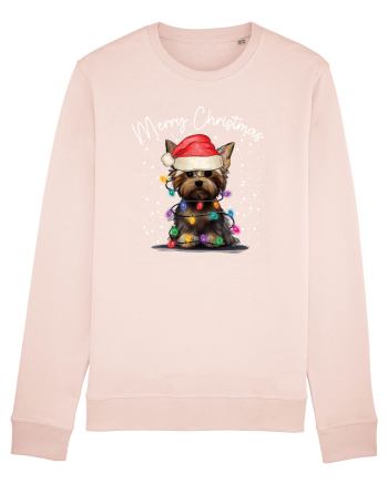 de Craciun cu luminite - Yorkshire Terrier Candy Pink