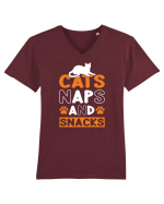 Cats Naps And Snacks Tricou mânecă scurtă guler V Bărbat Presenter