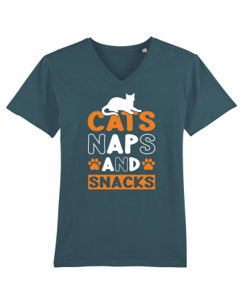 Cats Naps And Snacks Stargazer