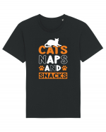 Cats Naps And Snacks Tricou mânecă scurtă Unisex Rocker