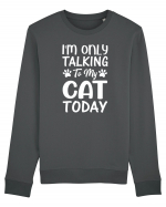 I'm Only Talking To My Cat Today Bluză mânecă lungă Unisex Rise