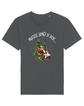 amuzant de Craciun - Pauzele lungi și dese Anthracite