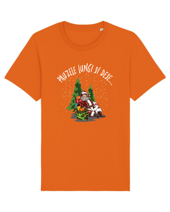 amuzant de Craciun - Pauzele lungi și dese Bright Orange