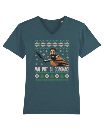 cu motive de Craciun - Mai pot și cozonac Stargazer