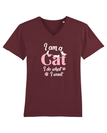 I am a CAT Burgundy