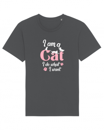 I am a CAT Anthracite