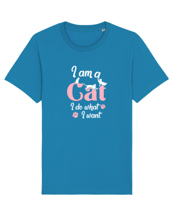 I am a CAT Azur