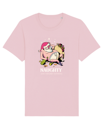 Naughty and I regret nothing - Hangover Claus Cotton Pink