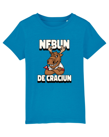 Nebun de Crăciun - Elan canadian Azur