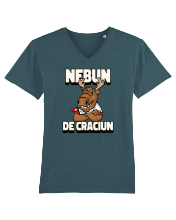 Nebun de Crăciun - Elan canadian Stargazer