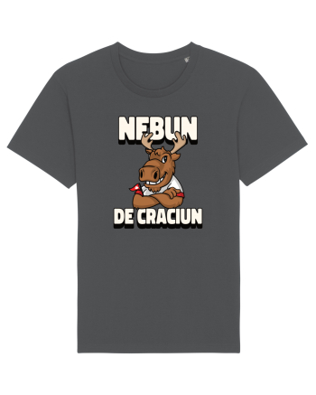 Nebun de Crăciun - Elan canadian Anthracite