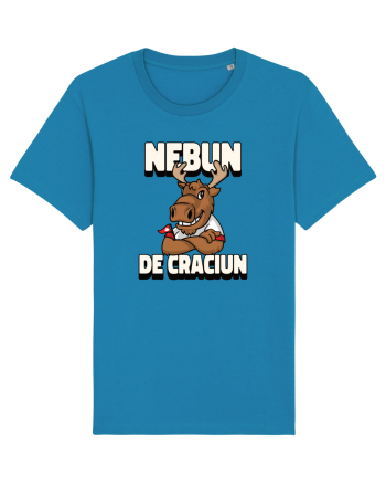 Nebun de Crăciun - Elan canadian Azur