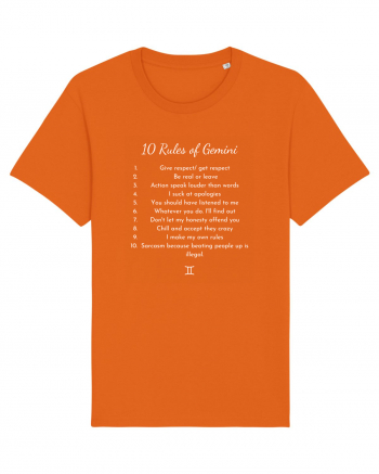 gemini 10 rules of gemini... Bright Orange