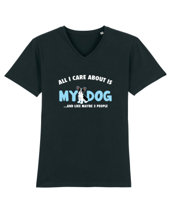 My Dog Black