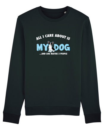 My Dog Black