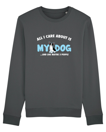My Dog Anthracite