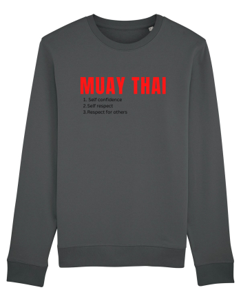 muat thai 1 2 3 Anthracite