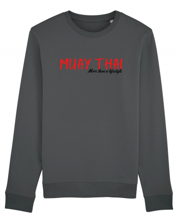 muay thai Anthracite