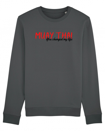 muay thay Anthracite