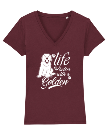 Golden retriever Burgundy