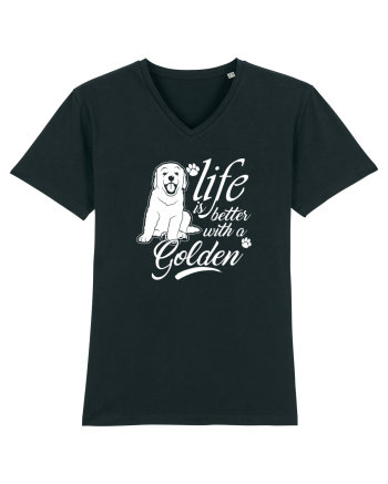 Golden retriever Black