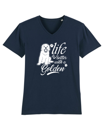 Golden retriever French Navy