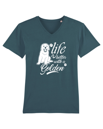 Golden retriever Stargazer