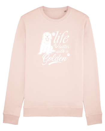 Golden retriever Candy Pink
