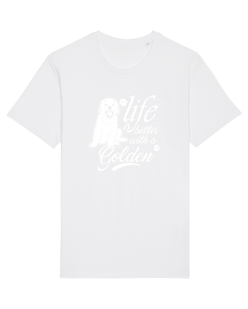 Golden retriever White